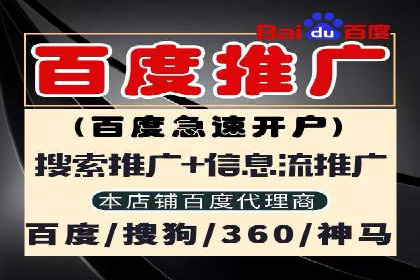 网络推广竞价实战案例分析集
